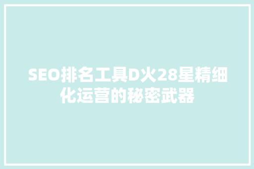 SEO排名工具D火28星精细化运营的秘密武器