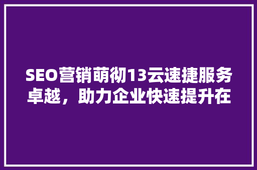 SEO营销萌彻13云速捷服务卓越，助力企业快速提升在线影响力
