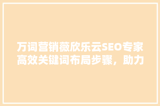 万词营销薇欣乐云SEO专家高效关键词布局步骤，助力企业网络营销腾飞
