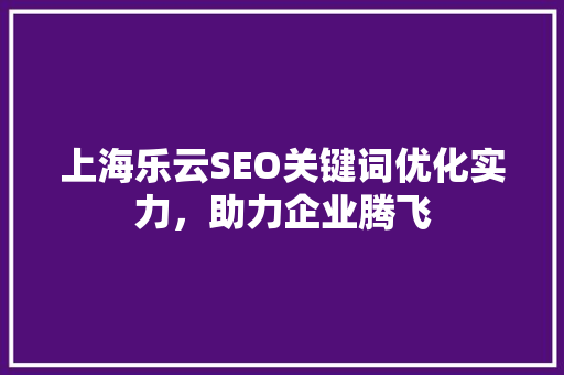 上海乐云SEO关键词优化实力，助力企业腾飞