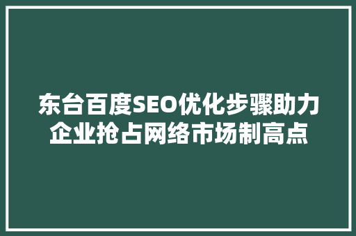 东台百度SEO优化步骤助力企业抢占网络市场制高点