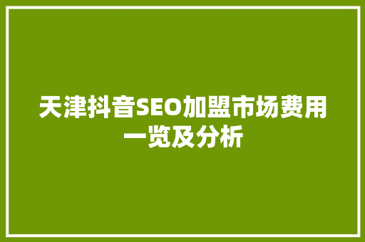 天津抖音SEO加盟市场费用一览及分析