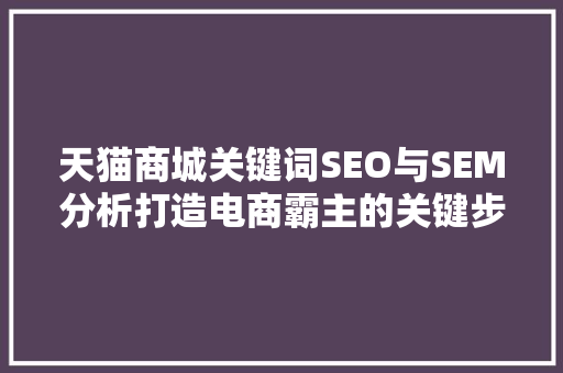 天猫商城关键词SEO与SEM分析打造电商霸主的关键步骤