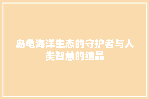 岛龟海洋生态的守护者与人类智慧的结晶