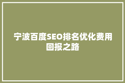 宁波百度SEO排名优化费用回报之路