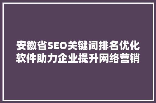 安徽省SEO关键词排名优化软件助力企业提升网络营销效果