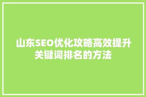 山东SEO优化攻略高效提升关键词排名的方法