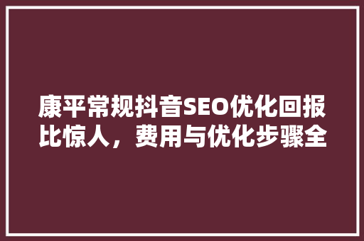 康平常规抖音SEO优化回报比惊人，费用与优化步骤全