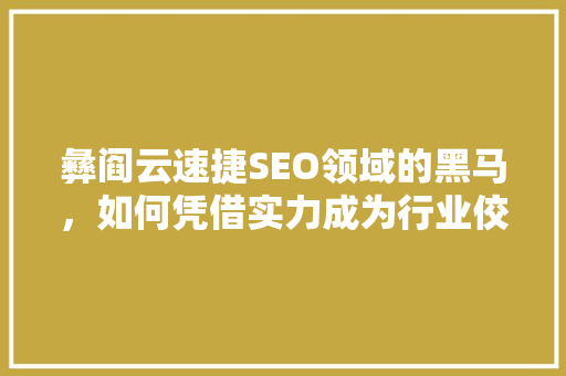 彝阎云速捷SEO领域的黑马，如何凭借实力成为行业佼佼者