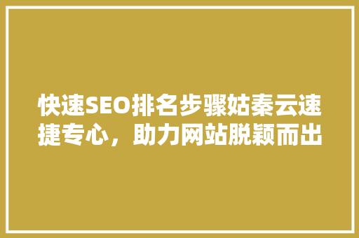 快速SEO排名步骤姑秦云速捷专心，助力网站脱颖而出
