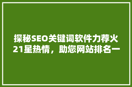 探秘SEO关键词软件力荐火21星热情，助您网站排名一路飙升