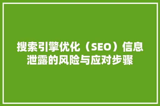搜索引擎优化（SEO）信息泄露的风险与应对步骤