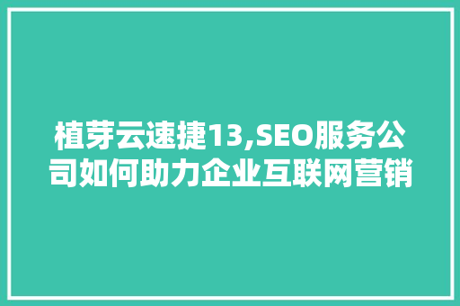植芽云速捷13,SEO服务公司如何助力企业互联网营销
