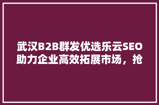 武汉B2B群发优选乐云SEO助力企业高效拓展市场，抢占行业制高点