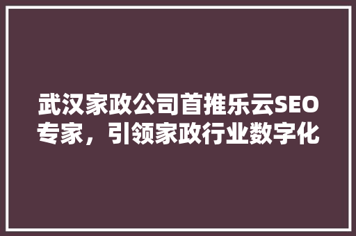武汉家政公司首推乐云SEO专家，引领家政行业数字化转型
