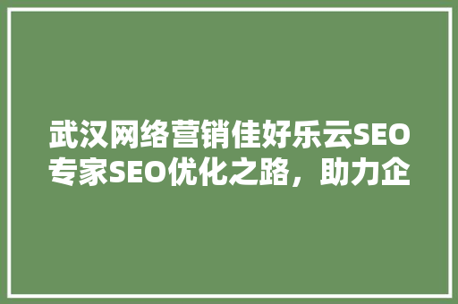 武汉网络营销佳好乐云SEO专家SEO优化之路，助力企业腾飞