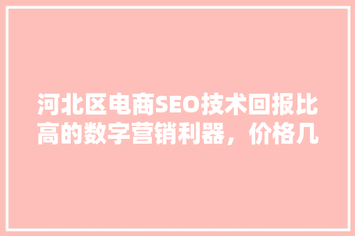 河北区电商SEO技术回报比高的数字营销利器，价格几何