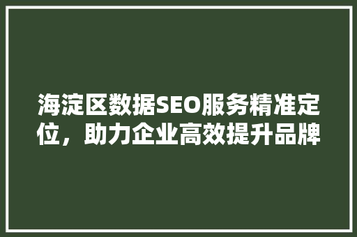 海淀区数据SEO服务精准定位，助力企业高效提升品牌影响力