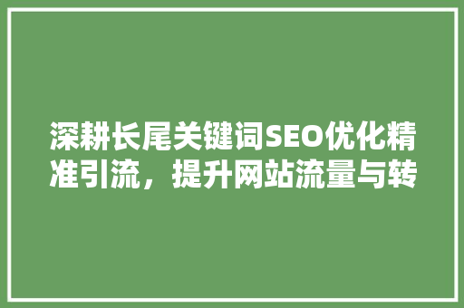 深耕长尾关键词SEO优化精准引流，提升网站流量与转化