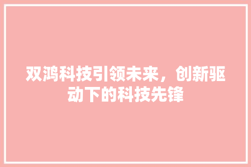 双鸿科技引领未来，创新驱动下的科技先锋
