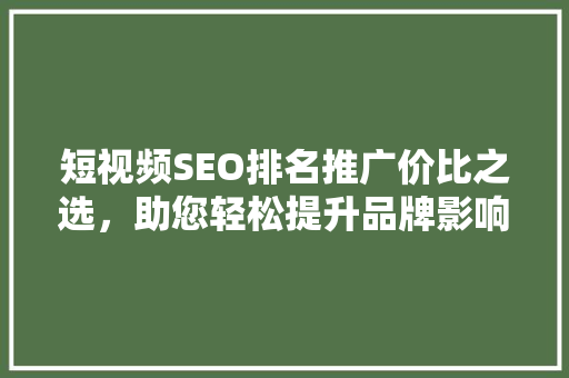 短视频SEO排名推广价比之选，助您轻松提升品牌影响力