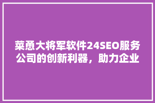 菜恿大将军软件24SEO服务公司的创新利器，助力企业腾飞