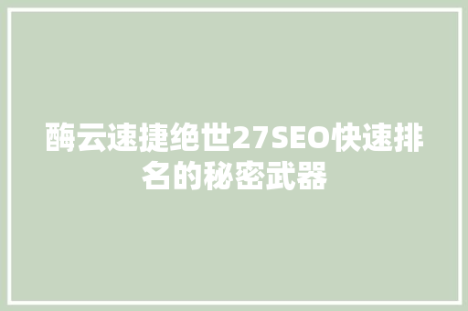 酶云速捷绝世27SEO快速排名的秘密武器