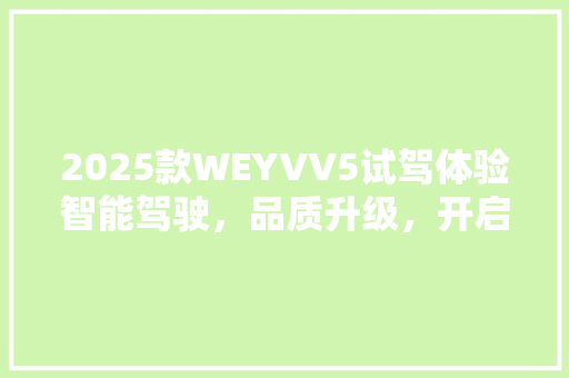2025款WEYVV5试驾体验智能驾驶，品质升级，开启豪华SUV新篇章
