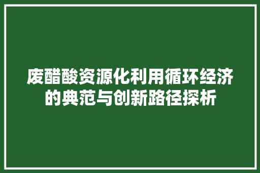 废醋酸资源化利用循环经济的典范与创新路径探析