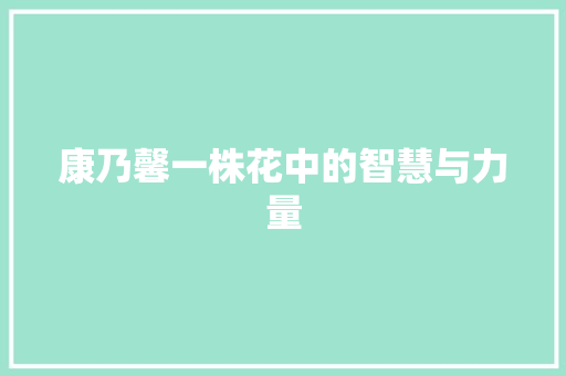 康乃馨一株花中的智慧与力量