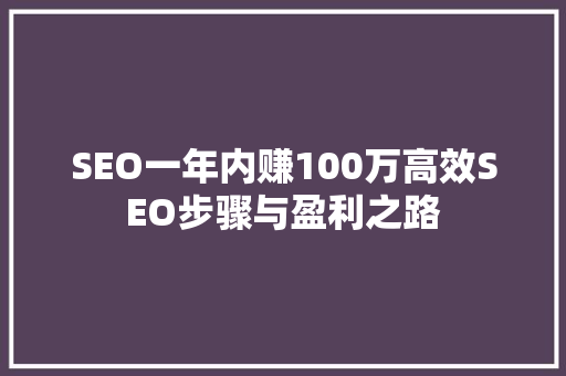 SEO一年内赚100万高效SEO步骤与盈利之路