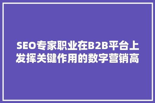 SEO专家职业在B2B平台上发挥关键作用的数字营销高手