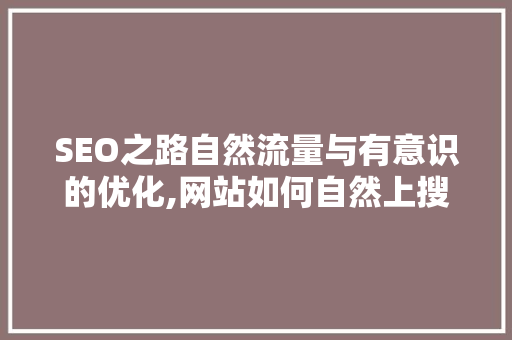 SEO之路自然流量与有意识的优化,网站如何自然上搜索引擎