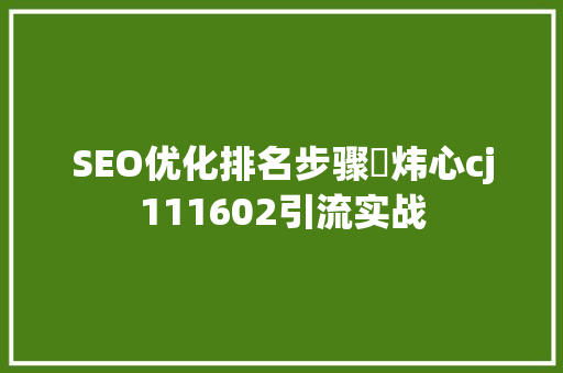 SEO优化排名步骤拁炜心cj111602引流实战