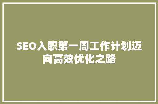 SEO入职第一周工作计划迈向高效优化之路