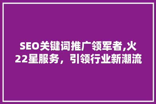 SEO关键词推广领军者,火22星服务，引领行业新潮流