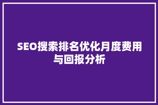 SEO搜索排名优化月度费用与回报分析