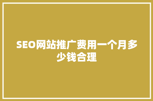 SEO网站推广费用一个月多少钱合理