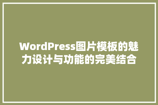 WordPress图片模板的魅力设计与功能的完美结合