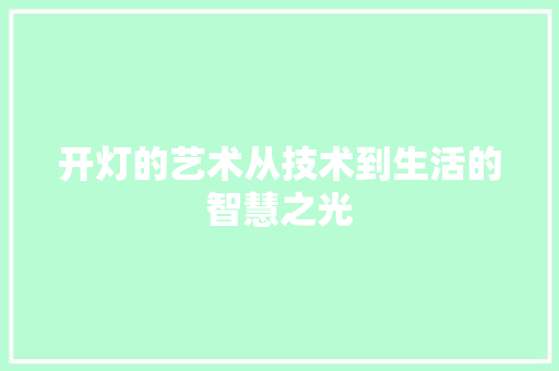开灯的艺术从技术到生活的智慧之光