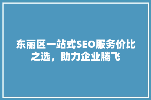 东丽区一站式SEO服务价比之选，助力企业腾飞