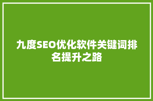 九度SEO优化软件关键词排名提升之路