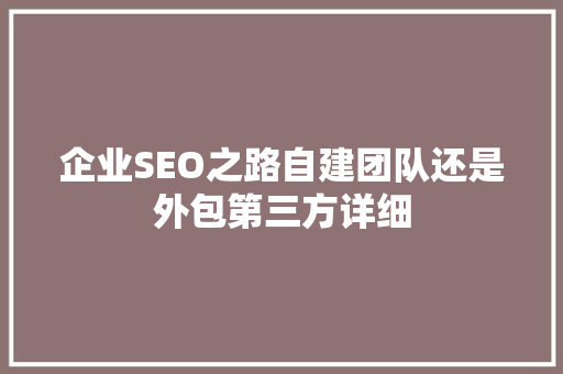 企业SEO之路自建团队还是外包第三方详细
