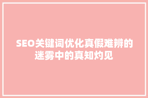 SEO关键词优化真假难辨的迷雾中的真知灼见
