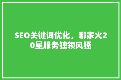 SEO关键词优化，哪家火20星服务独领风骚