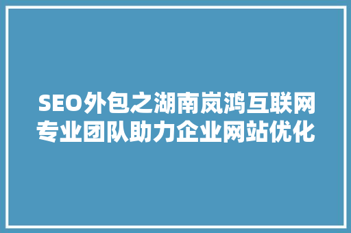 SEO外包之湖南岚鸿互联网专业团队助力企业网站优化，提升在线竞争力