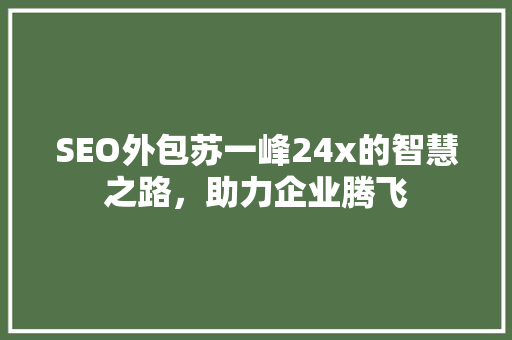 SEO外包苏一峰24x的智慧之路，助力企业腾飞