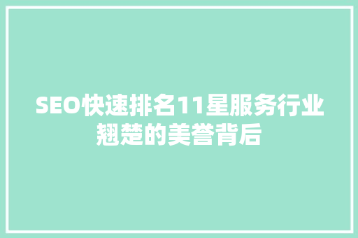SEO快速排名11星服务行业翘楚的美誉背后