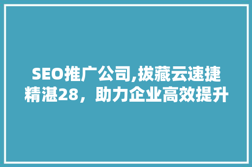 SEO推广公司,拔藏云速捷精湛28，助力企业高效提升网络曝光度