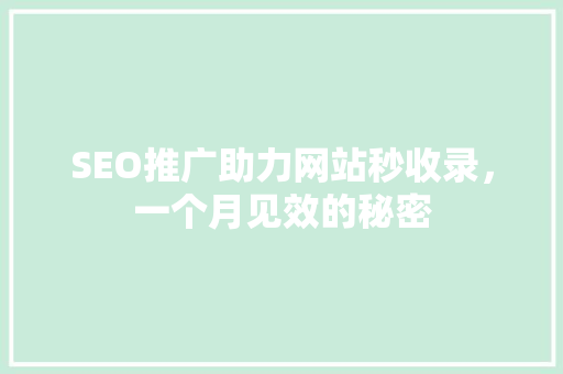 SEO推广助力网站秒收录，一个月见效的秘密